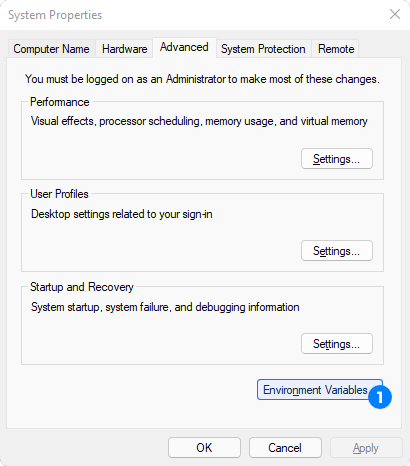 Click "Environment Variables..."